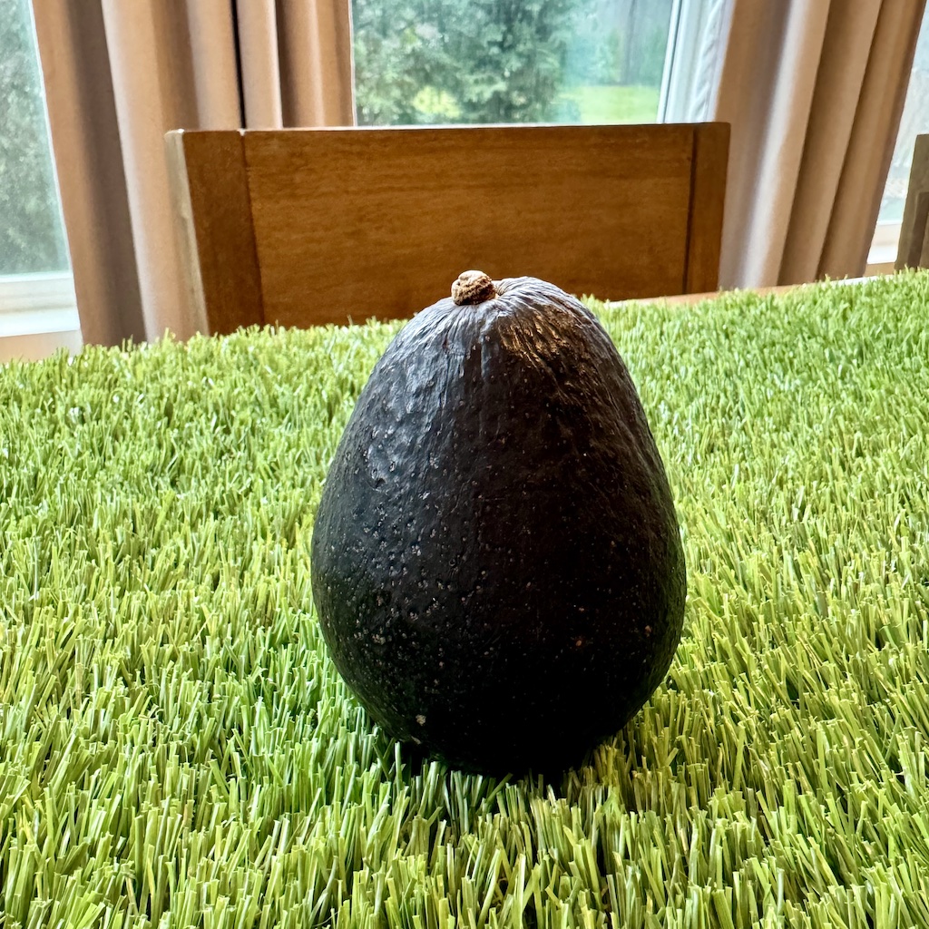 Avocado