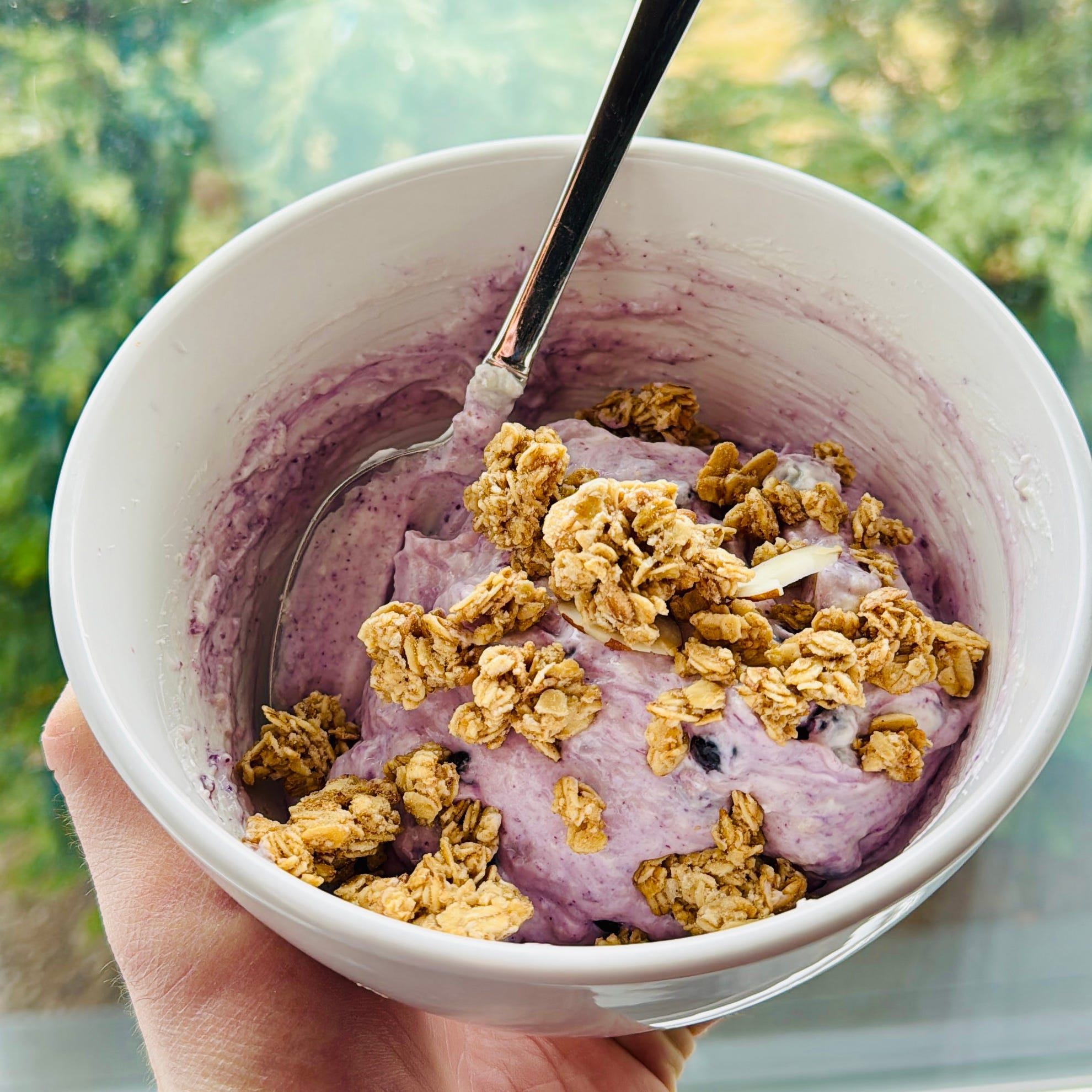 Blueberry Yogurt Bowl